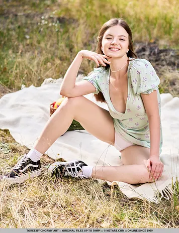 Sexy Picnic